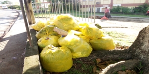 Campagne de nettoyage contre la dengue au MT&RN