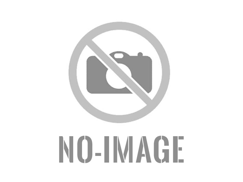 Section d’Exécution